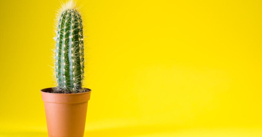 After an enlargement operation, you may experience discomfort in the penis